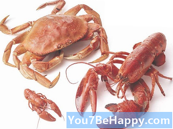 ความแตกต่างระหว่าง Crab และ Lobster