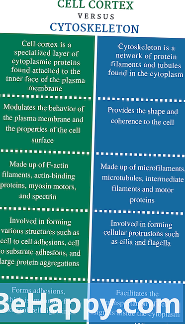 Perbezaan Antara Cytoplasm dan Cytoskeleton