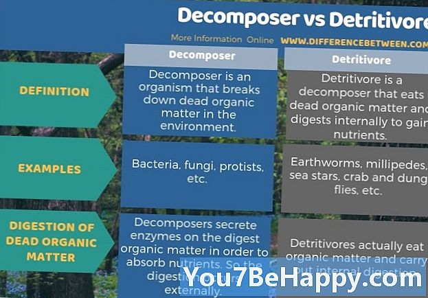 Diferença entre Decompositores e Detritívoros