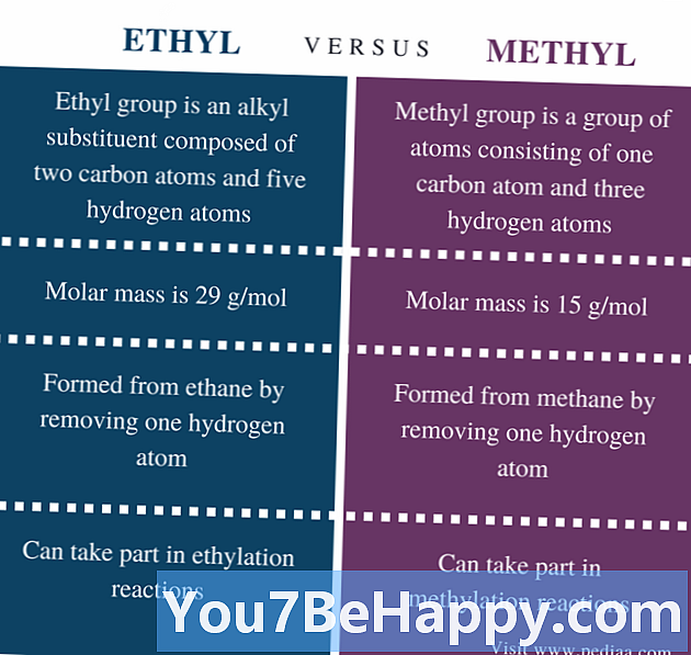 ความแตกต่างระหว่าง Ethyl กับ Methyl