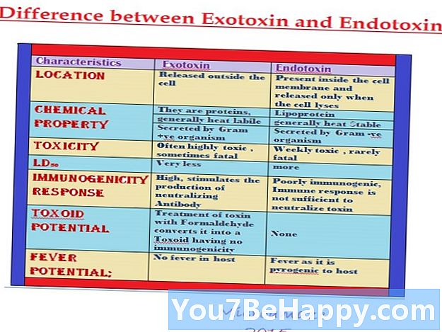 Verschil tussen exotoxinen en endotoxinen