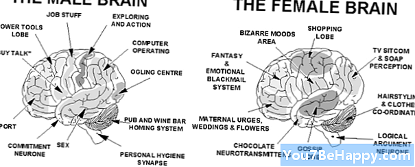 Diferența dintre creierul feminin și creierul masculin