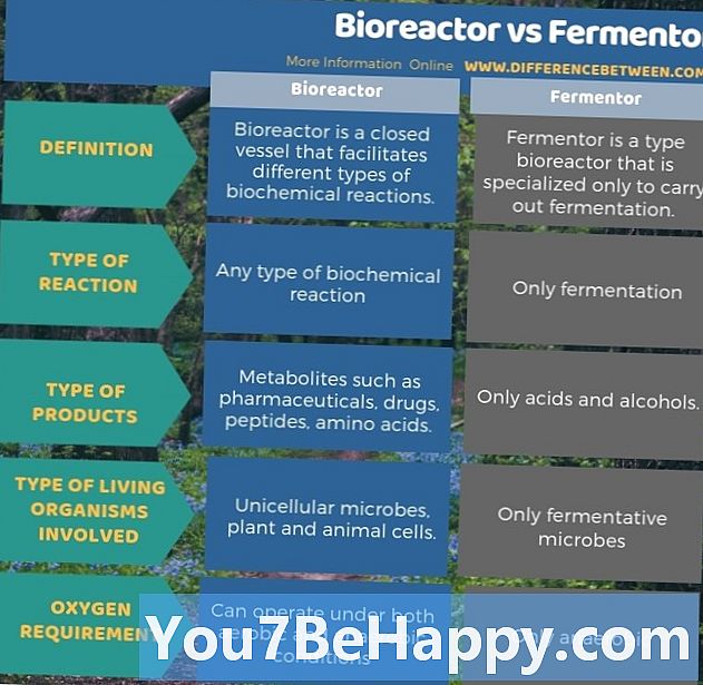 Diferència entre Fermentador i Bioreactor