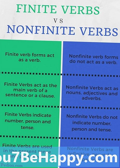 Forskellen mellem Finite Verb og Nonfinite Verb