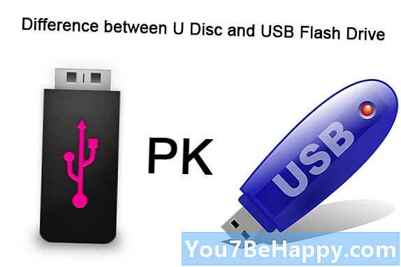 Perbezaan antara Flash Drive dan Pen Drive