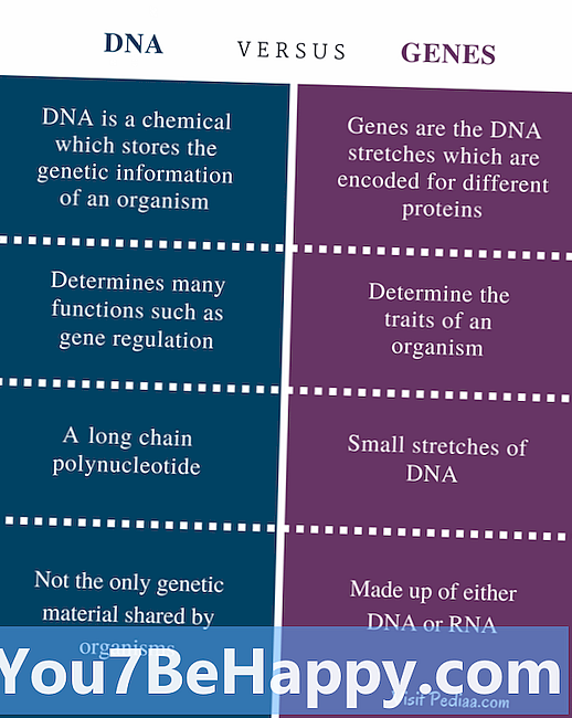 Diferența dintre gene și ADN
