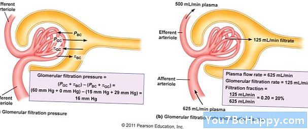 Forskel mellem glomerulær filtreringshastighed og renal plasma-flow