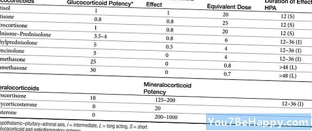 글루코 코르티코이드와 미네랄 코르티코이드의 차이점