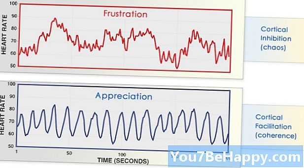 Diferența dintre frecvența cardiacă și ritmul pulsului