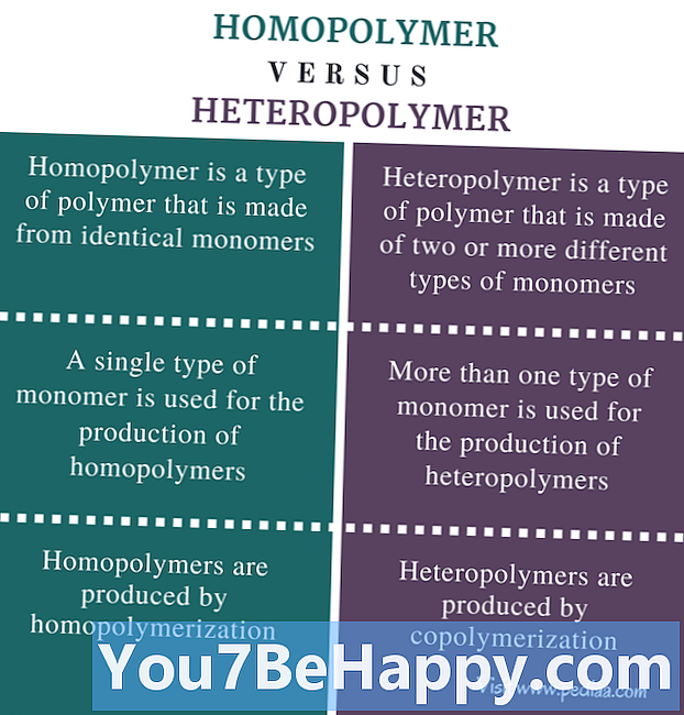 Ero homopolymeerin ja kopolymeerin välillä