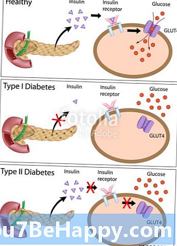 Разница между инсулином и глюкагоном