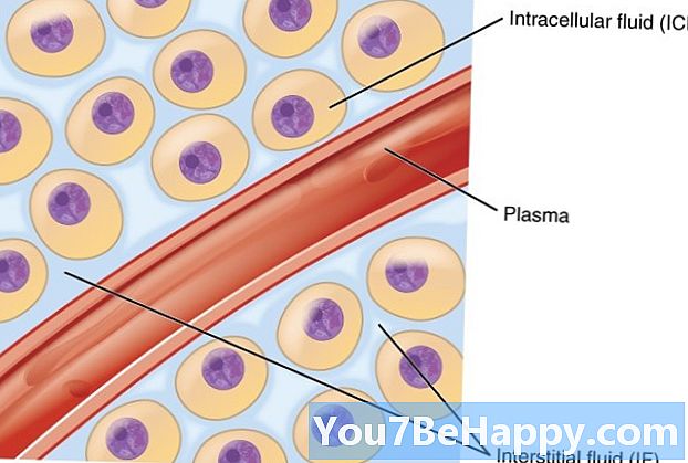 Rozdiel medzi intracelulárnymi tekutinami a extracelulárnymi tekutinami