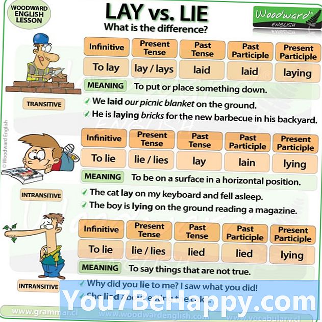 Diferença entre Lay e Lie