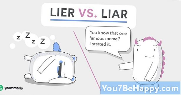 Forskel mellem Lier og løgner