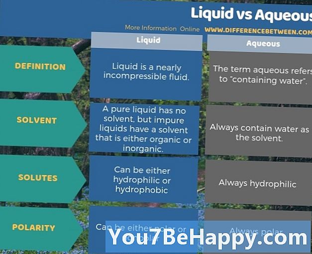 Разлика између течног и воденог