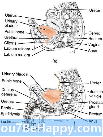 Разлика между мъжката уретра и женската уретра