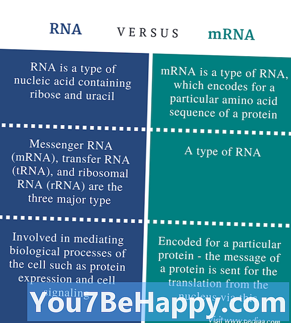 Rozdíl mezi Messenger RNA a Transfer RNA