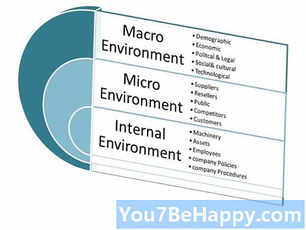 Rozdiel medzi mikro (vnútorným) prostredím a makro (externým) prostredím