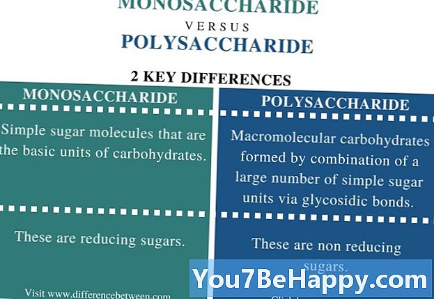 Unterschied zwischen Monosaccharid und Polysaccharid