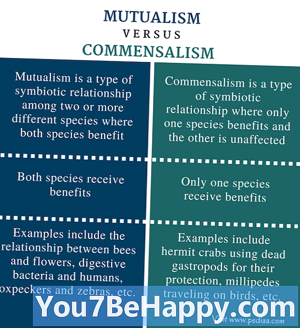 Differenza tra mutualismo e commensalismo