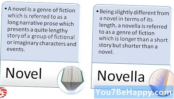 Diferența dintre roman și Novella