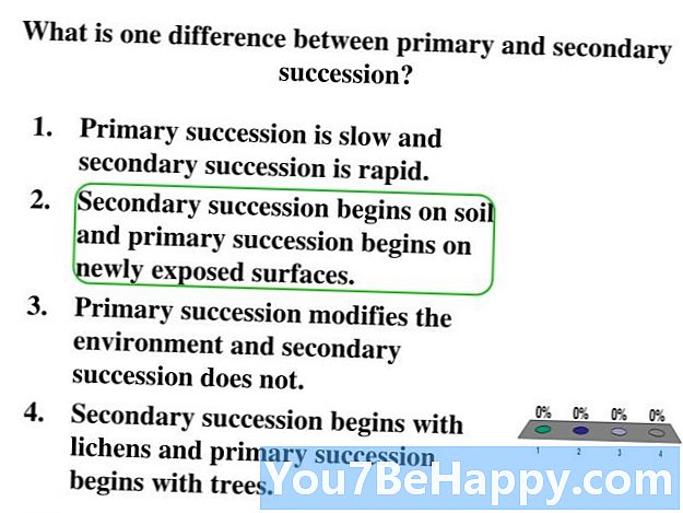 Skillnaden mellan Primär Succession och Secondary Succession