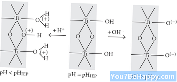 质子化与去质子化的区别