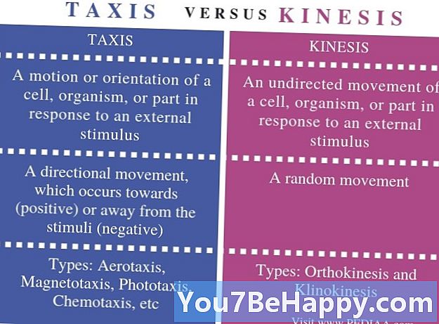 Diferența dintre taxis și kinesis
