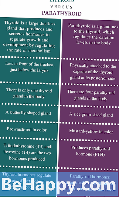 Diferencia entre tiroides y paratiroides
