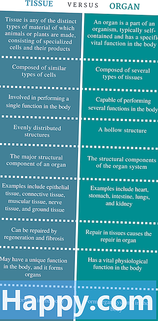 Diferencia entre tejido y órgano