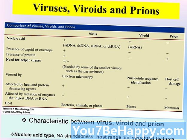 ความแตกต่างระหว่างไวรัสและไวรอยด์